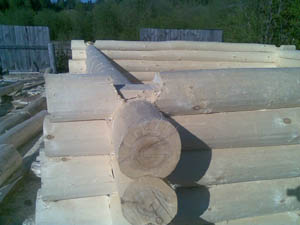 фото в обло