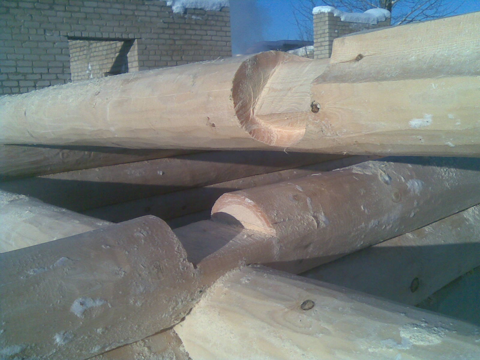 фото в охлоп