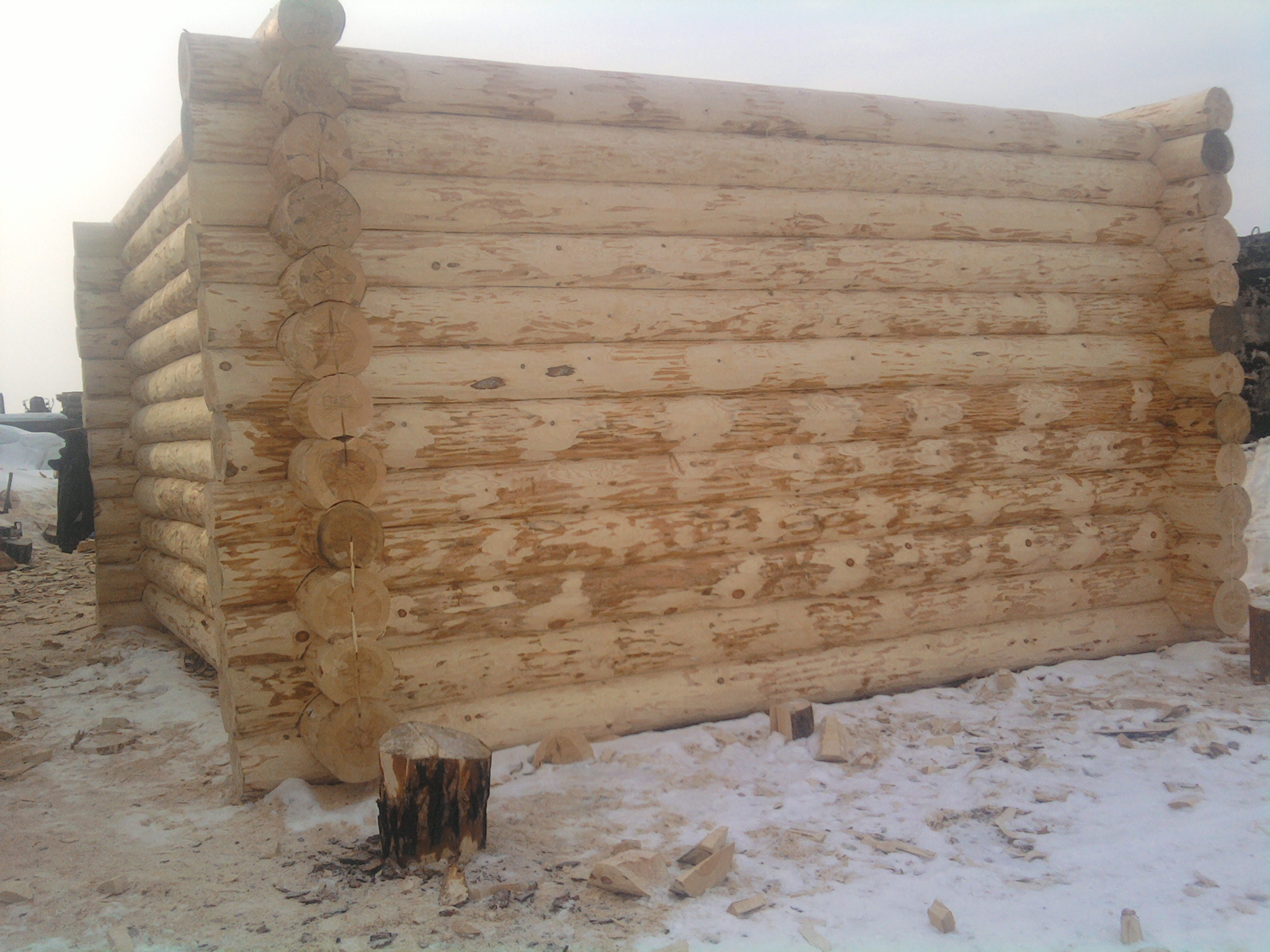 фото в чашу