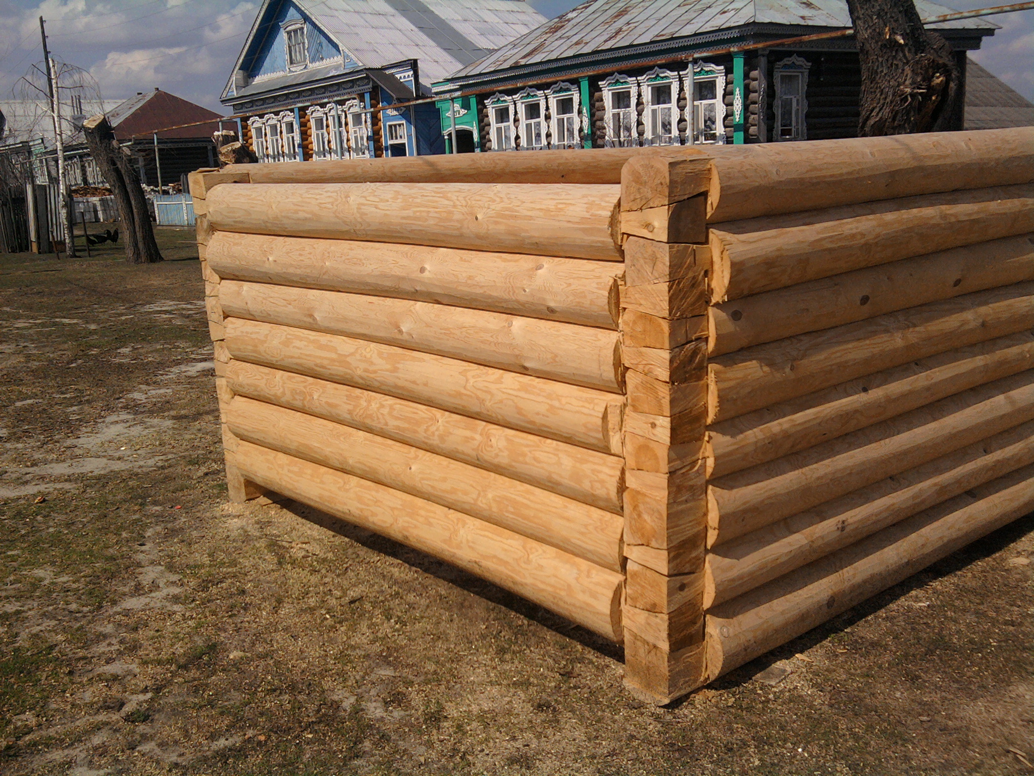 фото в лапу