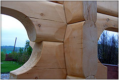 Фото норвежской чаши